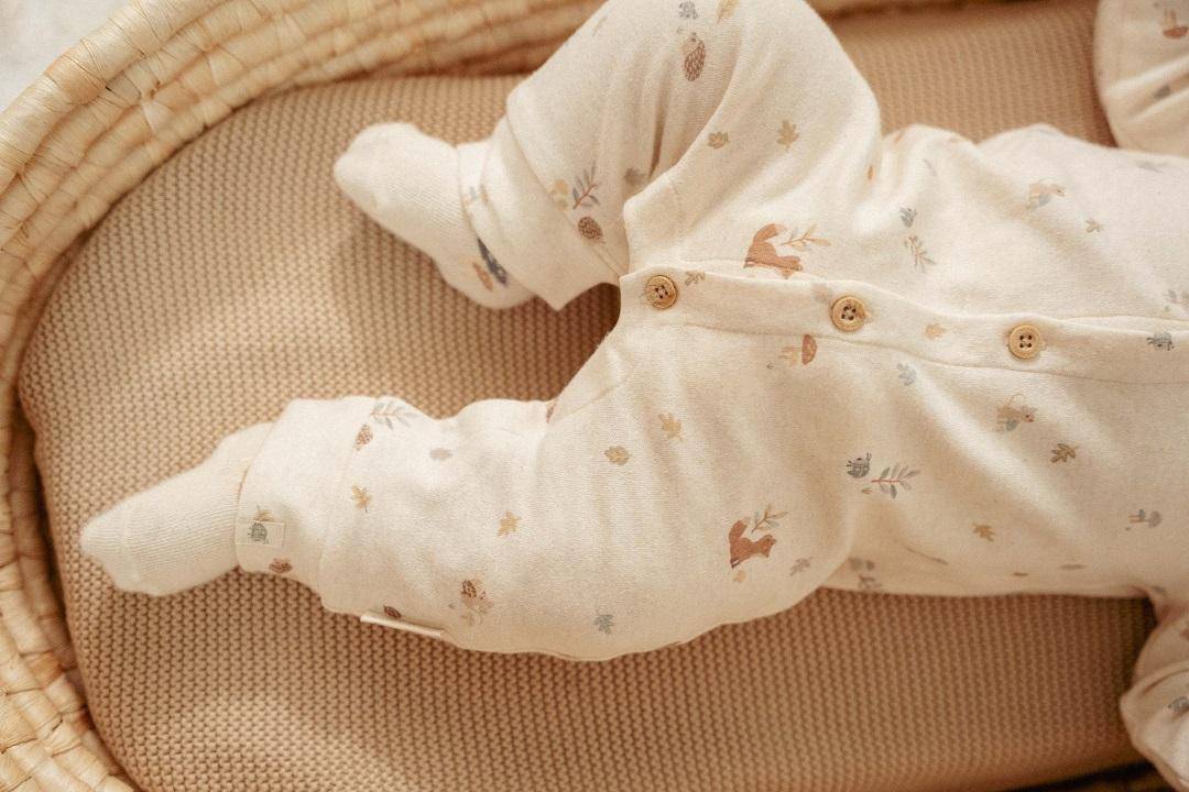 Player Forest Nature | Little Dutch