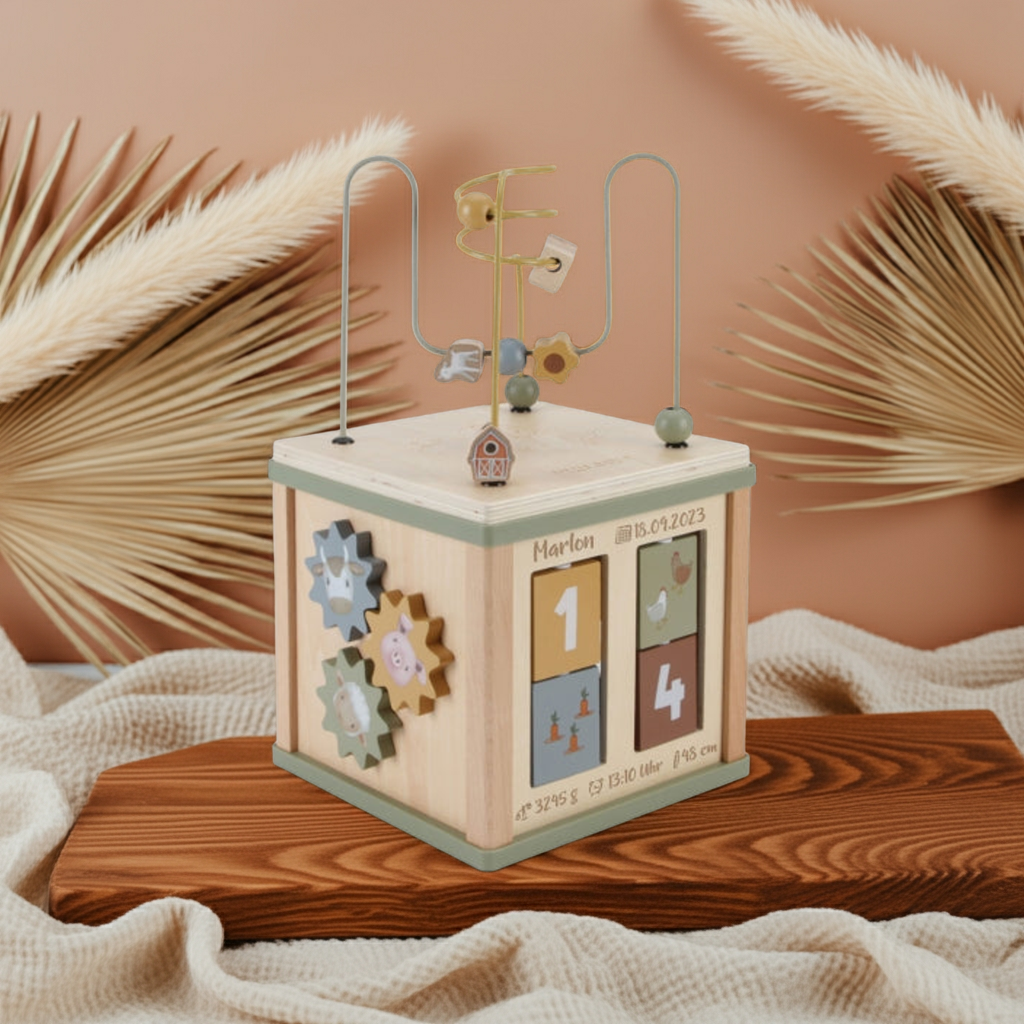 Little Farm Activity Cube - For Birth