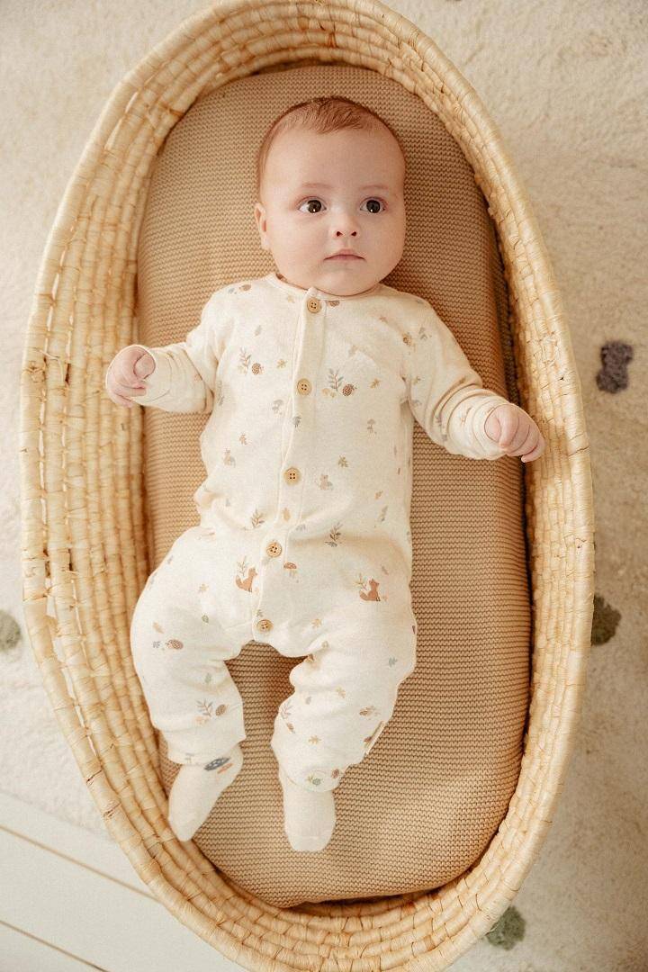 Player Forest Nature | Little Dutch