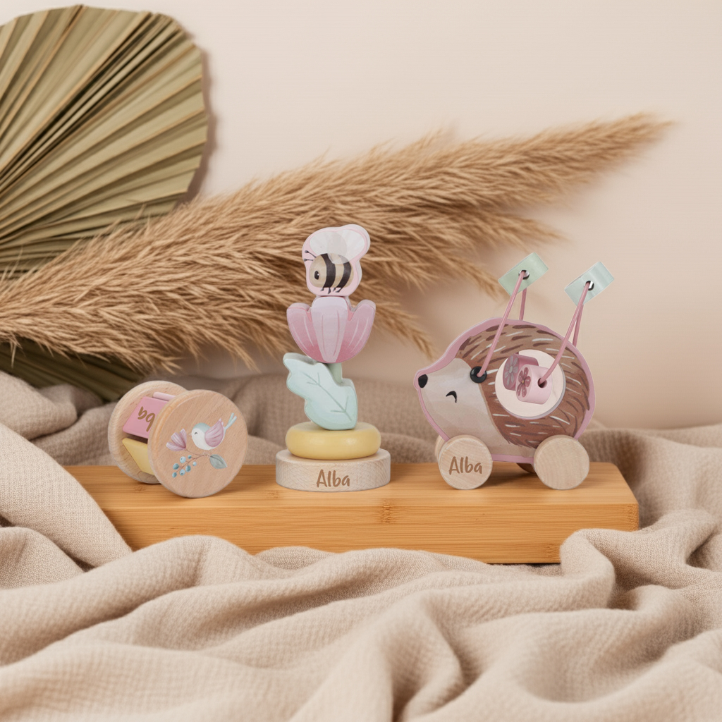 Fairy Garden Wooden Gift Set
