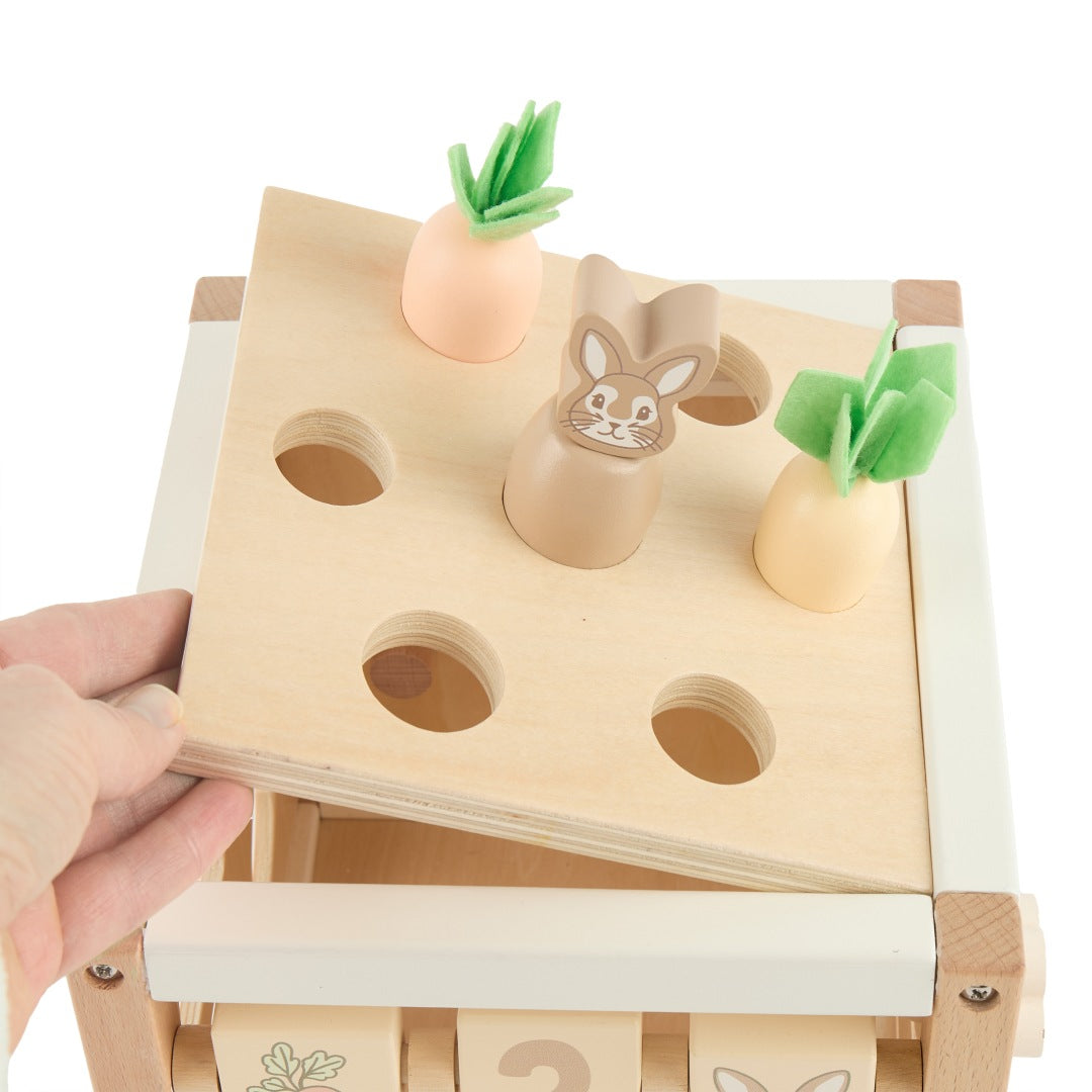 Motor skills cube rabbit fine wood | bieco