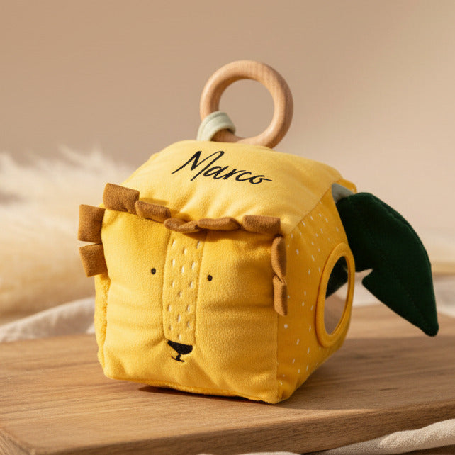 Activity Cube - Mr. Lion | Trixie