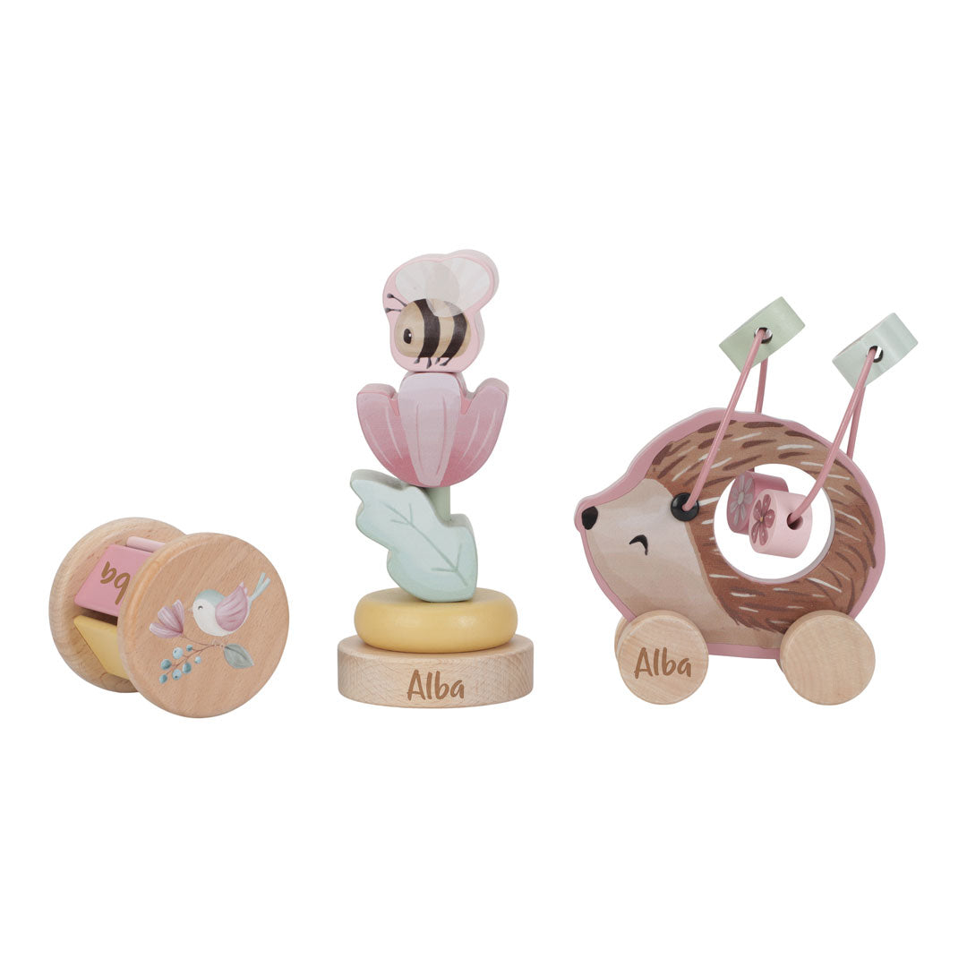 Fairy Garden Wooden Gift Set