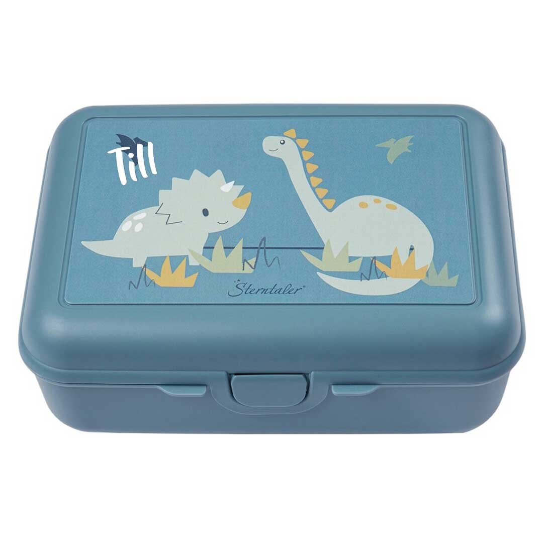 Children's lunch box DINO Rexi | Sterntaler