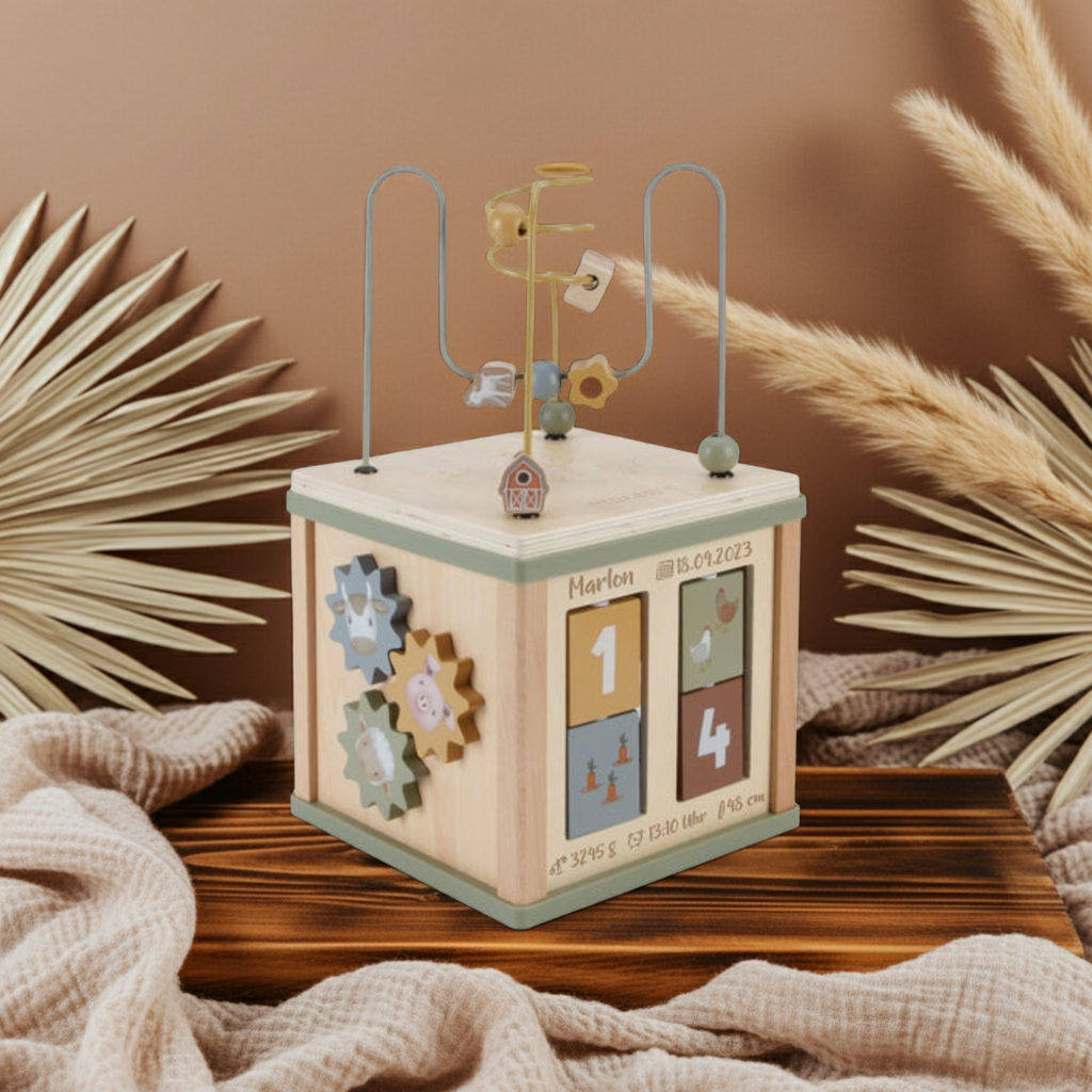 Little Farm Activity Cube - For Birth