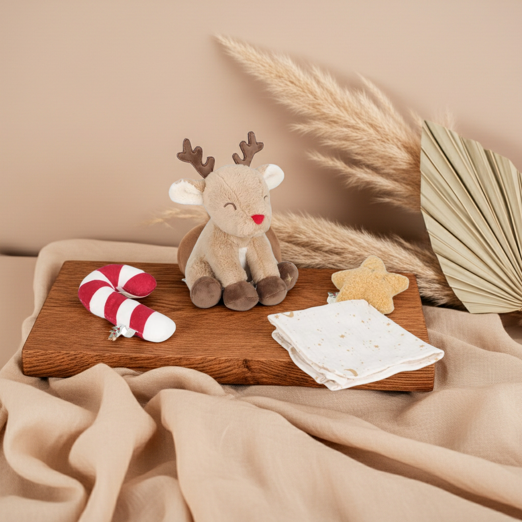 Christmas gift set for newborns GRS