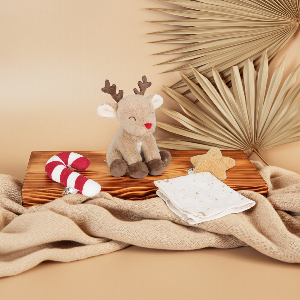 Christmas gift set for newborns GRS