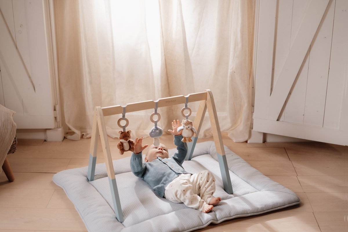 Forest Friends Play Trapeze